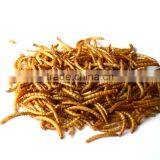 High Quality Pet Food Mealworms, Animal Feed Dry Mealworm thumbnail-1