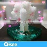 Children Science Kits /easy Diy Crystal Growing Trees / the Best Gift for Kids thumbnail-1