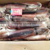 Chicharon of Japanese Squid thumbnail-2