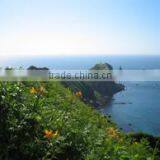 Land for Sale in Otaru, Hokkaido, Japan thumbnail-2