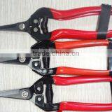 7" Grape Scissors Bent Type and Straight Type, Kinds Hand Tool thumbnail-1