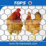 Hexagonal Wire Mesh Fence Specification thumbnail-3
