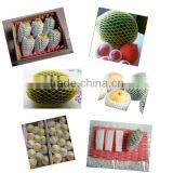 Food Grade EPE Eco-friendly Plastic Mango Export Packing Net thumbnail-6