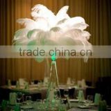 High quality white party ostrich feathers for sale