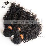 Black Rose Shengyuan Hair Factory Original Curly Indian Human Hair thumbnail-3