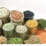 UHMW PE Pipe to Convey Foodstuff thumbnail-3