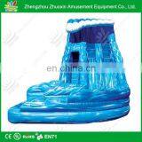 Giant Inflatable Water Slide for Adult/inflatable Water Slides China thumbnail-4