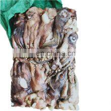 Frozen Squid Tentacle Frozen Indian Ocean Squid Tentacle Frozen Tentacles of Squid