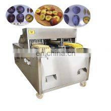 Stanley Spur Type and Anna Spath Emla Plums Corer