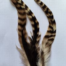 Chinchilla Rooster Tail Feather for Wholesale from China