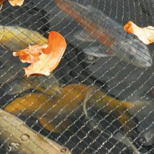 Woven Bird Netting 5m x 15m Drape Over Netting 2cm 2.5cm 3cm Hole Size Pond Cover Net thumbnail-3