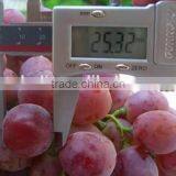 2016 Red Global Grapes/cheap Red Grapes thumbnail-3