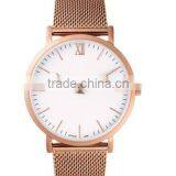 Most Popular Simple New Design Fashion Girls Mesh Watch With Ronda Movt thumbnail-6
