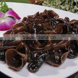 Bubble Type Kelp Washing Machine|Mushroom and Bean Sprout Cleaning Machine thumbnail-5