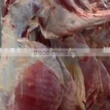 Frozen Halal Donkey Carcasses Meat