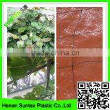 Knotless Plant Supporting Net&mesh for Pea/bean&plant Support Net Green thumbnail-6