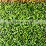 2013 New Artificial leaf hedge garden fence gardening decoration gold leaf