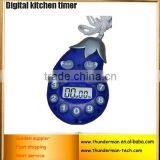 LCD Display Digital Fridge Magnet Timers