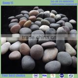 Cobbles & Pebbles Type and Mixed Color natural blue pebble