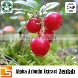 alpha arbutin plant extract for arbutin whitening cream