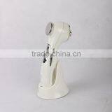 6 in 1 Ultrasonic Ultrasound Ion Skin Care Face Body Slimming Massager thumbnail-4