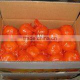 Chinese Fresh Honey Mandarin thumbnail-1