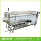Polish Type Potato Washing and Polishing Washer & Peeler Machine / Equipment thumbnail-1