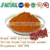 French Grape seed extract polyphenol 95% B2 1.8%