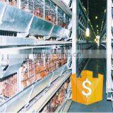 H Type Layer Chicken Cage for Poultry Farm thumbnail-2