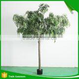 High Quality Lmitation Artificial Chinese Pagoda Tree thumbnail-2