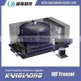 2015 New Design High Quality Spiral Freezer Machine