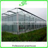 Hot Sale Tropical Greenhouse thumbnail-3