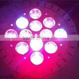 Best Sell Professional Led Light for Indoor Plant Light Fixtures of Led Grow Light Spectrum King thumbnail-6