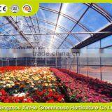 Hydroponic Greenhouse Systems/Selling Used Greenhouse For Agriculture And Horticulture thumbnail-5