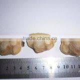 CLAM MEAT IQF SHORT NECKED CLAM MEAT PRODUCTS thumbnail-1