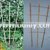 Bamboo Garden Trellis thumbnail-1