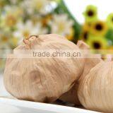 Chinese Black Garlic no White Garlics thumbnail-6