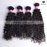 Black Rose New Arrival Crochet Braids With Human Malaysain Curly Hair, Raw Unprocessed Malaysian Human Hair thumbnail-4