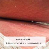 Supply Strip Core 8mm Bintangor Plywood