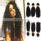 2017 Hot Sale Kinky Curly Indian Hair Salon Wholesale Hair Bundle thumbnail-1