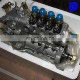 BQ4A-1.0.0-06h(BH4Q85R8) Fuel Pump 4Q194KM-1 for Laidong 4D30B/2650(direct Injection) thumbnail-1