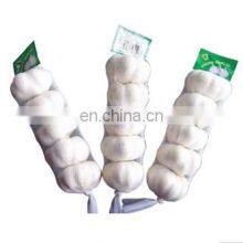 Pure White Fresh Garlic Chinese Garlic thumbnail-4