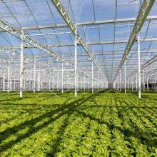 PO Agricultural Film thumbnail-3