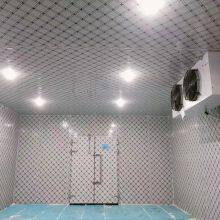 Flower Large Scale Cold Storage,Green Plants Large Scale Cold Room thumbnail-2