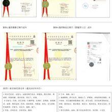 Professional Agent of International Cargo, Customs Clearance thumbnail-1