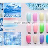 2016 Caixuan New Gel Polish Ice Transparent Gel Polish 12 Summer Gel Colors Supplier's Choice thumbnail-5