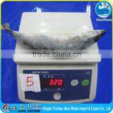 Gold Fish Supplier Grade A Frozen Pacific Mackerel