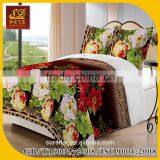 2015 New Design Borrego Blanket Wholesale Printed Blankets thumbnail-1