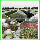 Durable Anti-hail Net,corrosion Proof Netting,woven Fabric Net thumbnail-3