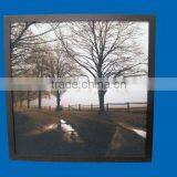 Tree Paintings thumbnail-1